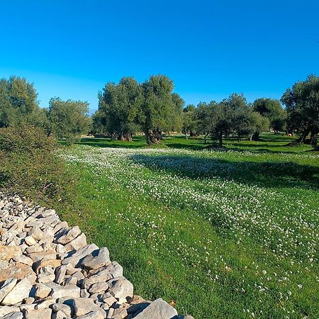 Che Vista!! Ostuni ,Sulle Bianche Mura Con Vista Mozzafiato Eksteriør bilde