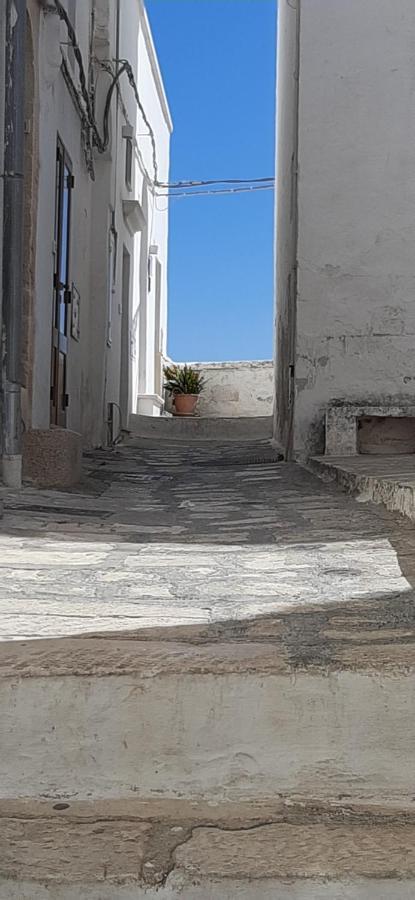 Che Vista!! Ostuni ,Sulle Bianche Mura Con Vista Mozzafiato Eksteriør bilde
