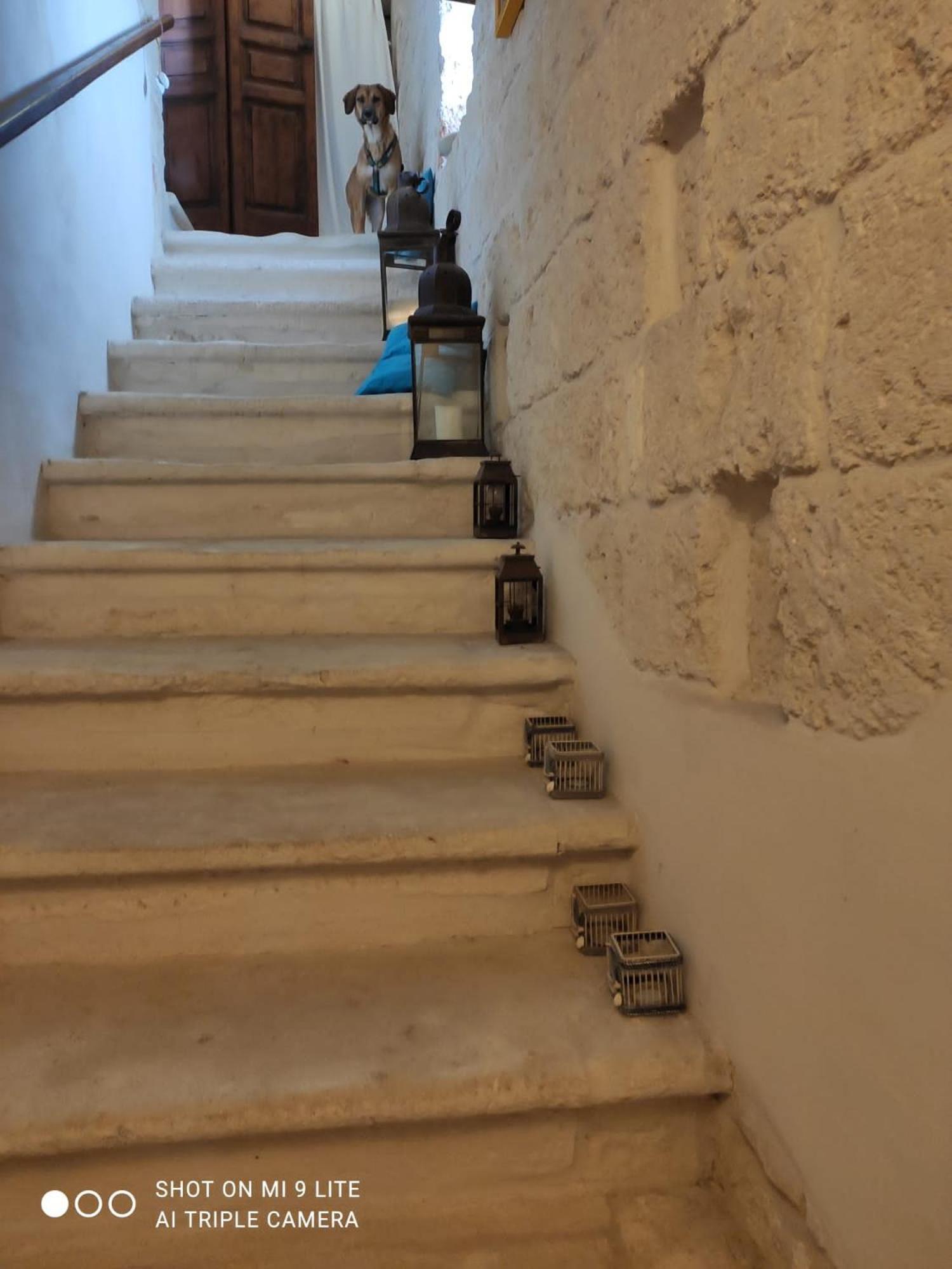Che Vista!! Ostuni ,Sulle Bianche Mura Con Vista Mozzafiato Eksteriør bilde