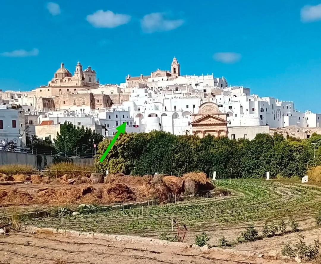 Che Vista!! Ostuni ,Sulle Bianche Mura Con Vista Mozzafiato Eksteriør bilde